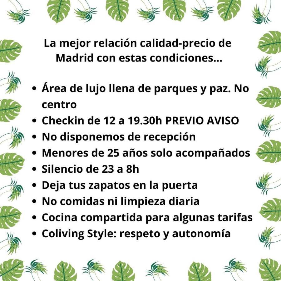 Paraiso Rooms Coliving Madrid Exterior foto